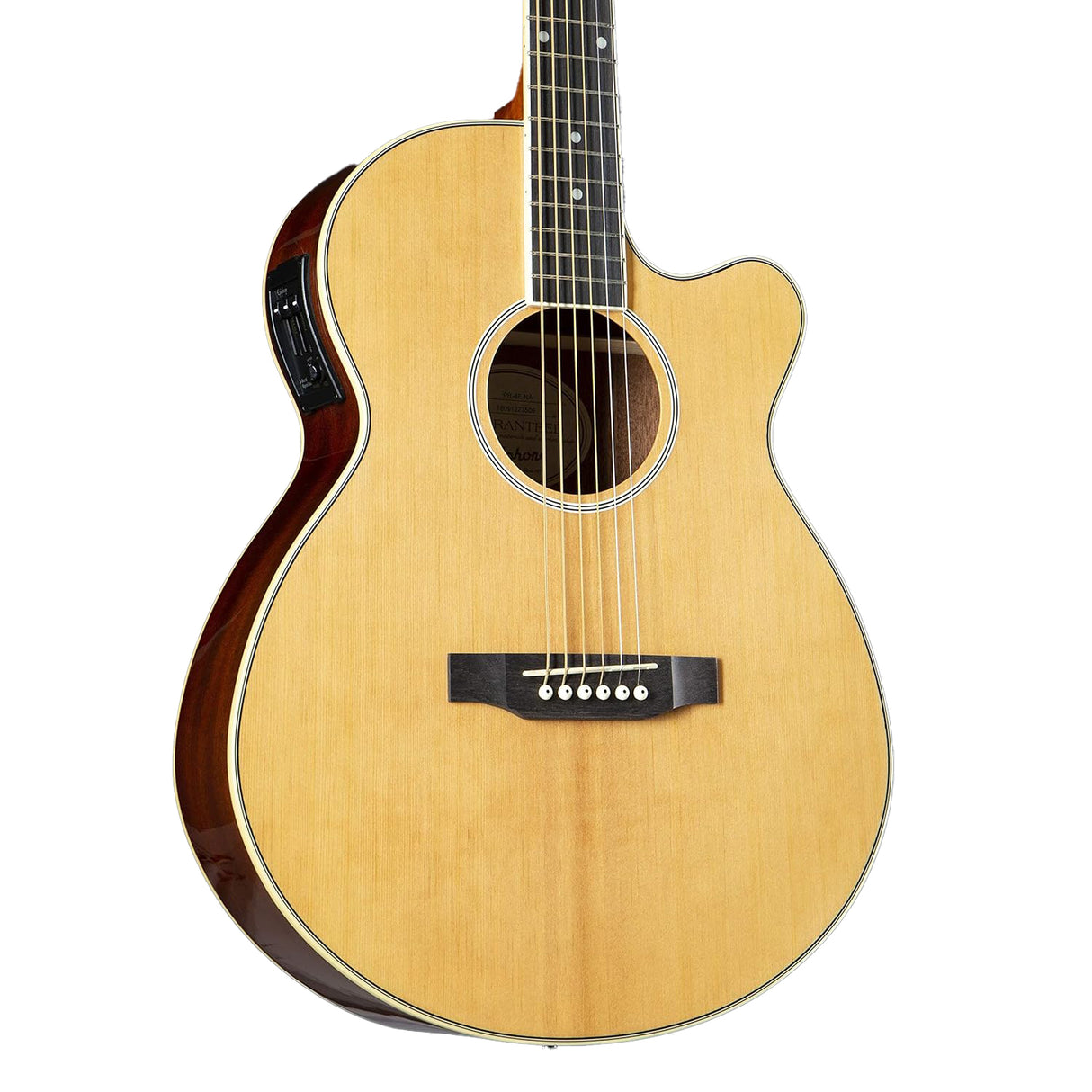 Guitarra Acustica (Pack) Ppgr-Eep4Nach1-Eu Epiphone