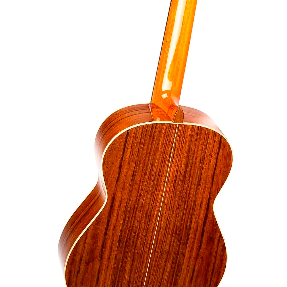 Guitarra Clasica Ortega (C.Nylon) Tradicional Series R220