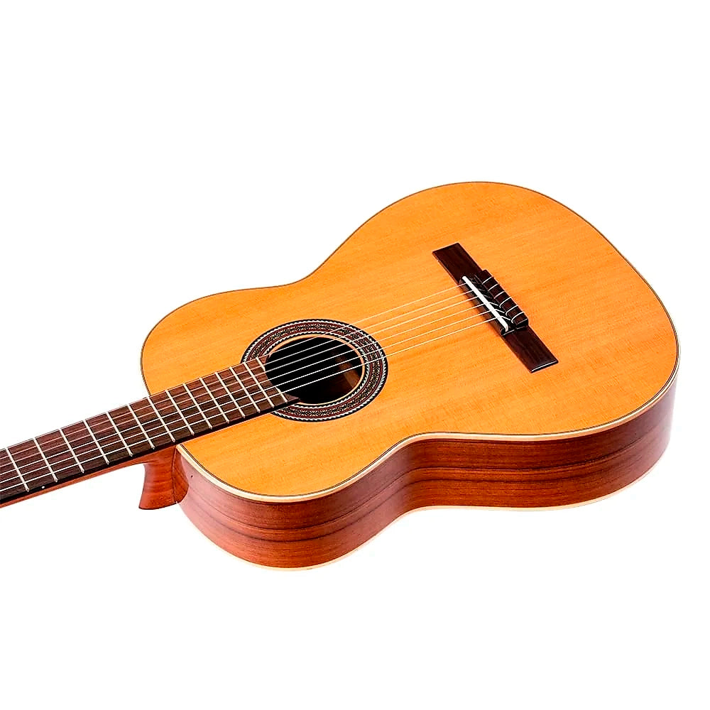 Guitarra Clasica Ortega (C.Nylon) Tradicional Series R220