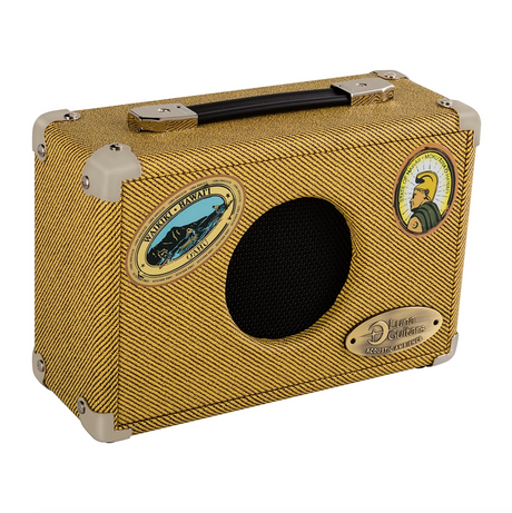 Amplificador Combo Luna Portatil Electroacustico 5W (A Pilas) AG5