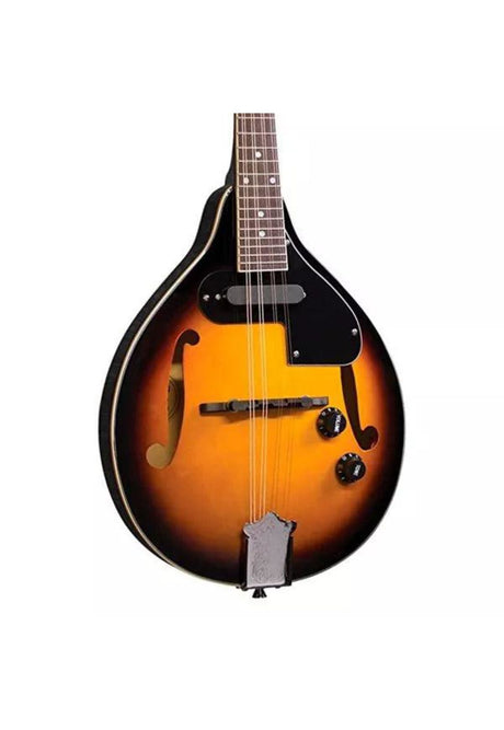 Mandolina Electroacústica Modelo A Rm-25E Rover