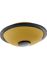 Tambor De Lengua Mini Meinl Sonic Energy (Tongue Drum) Mini Steel Tongue Drum Si Mayor (Dorado) MSTD3G