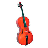 Cello Cervini 1/2 HC-100 1/2