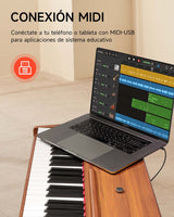 Piano Digital 88 Teclas  Cabinet Style Ddp-80 Donner (No incluye sillín)