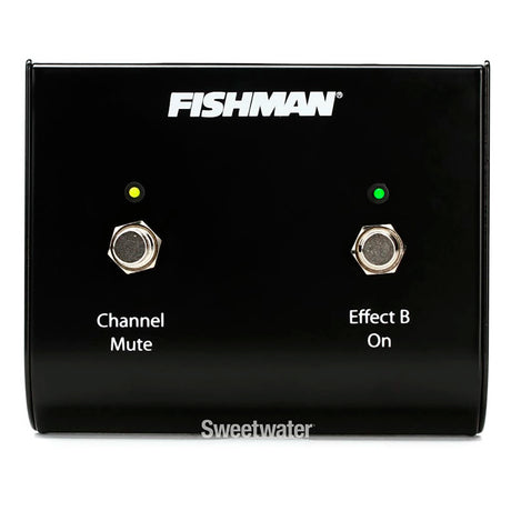 Footswitch Fishman Doble Para Amplificadores Loudbox ACC-LBX-FSW