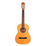 Guitarra Clasica Ortega (C.Nylon) Tradional Series R220